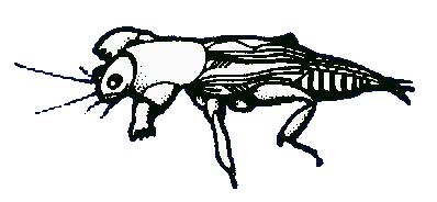 CV De Veenmollen Milheeze
